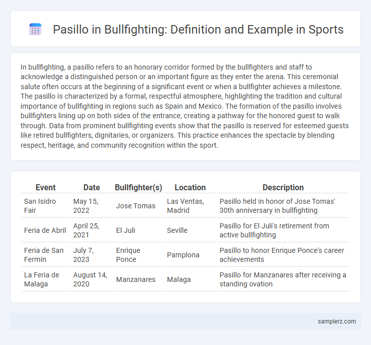 Pasillo in Bullfighting: Definition and Example in Sports