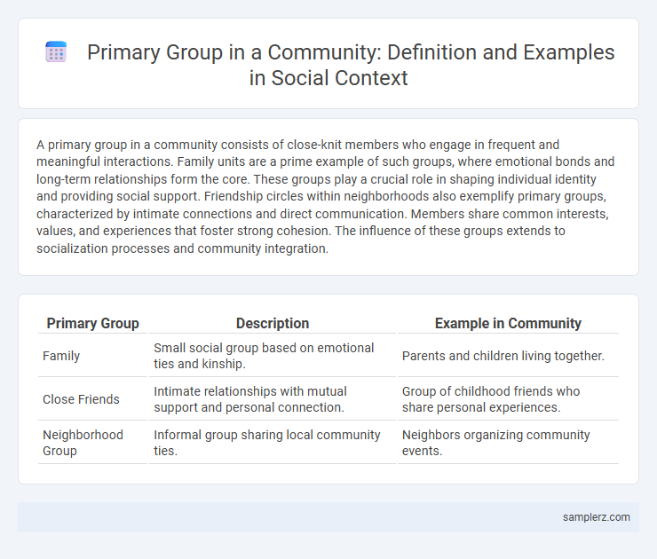 Primary Group in a Community: Definition and Examples in Social Context