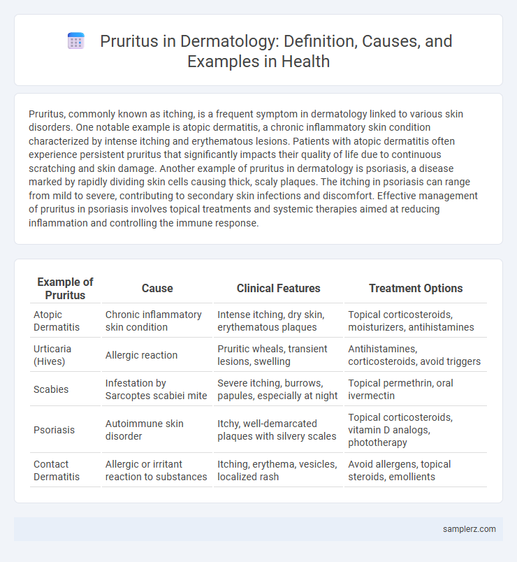 Pruritus in Dermatology: Definition, Causes, and Examples in Health