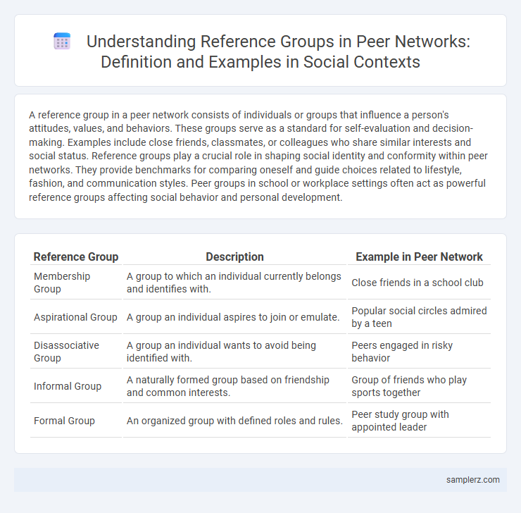 Understanding Reference Groups in Peer Networks: Definition and Examples in Social Contexts