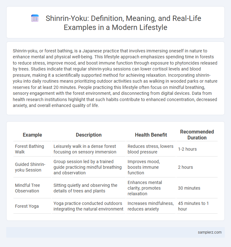 Shinrin-Yoku: Definition, Meaning, and Real-Life Examples in a Modern Lifestyle