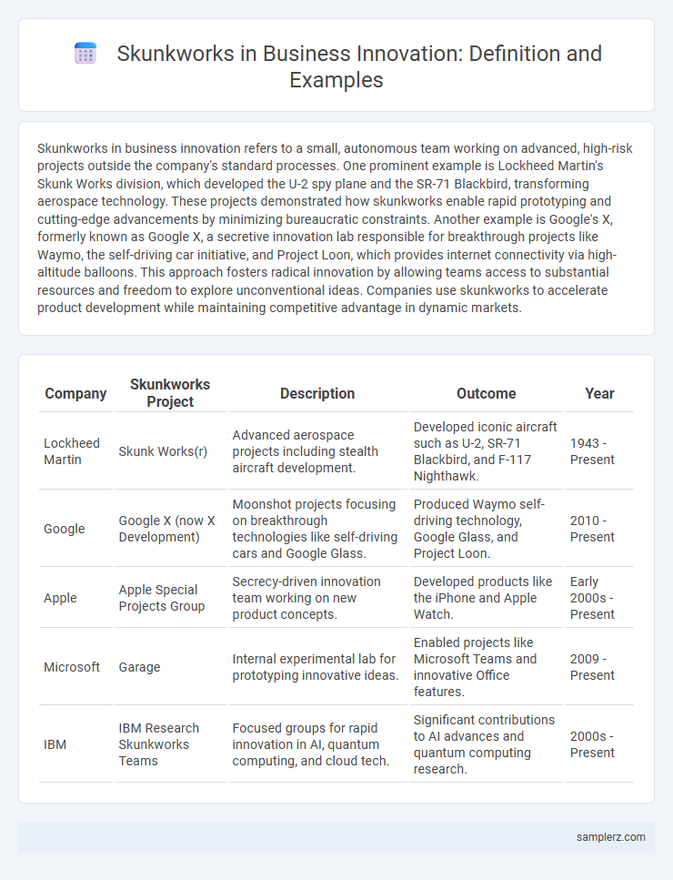 Skunkworks in Business Innovation: Definition and Examples