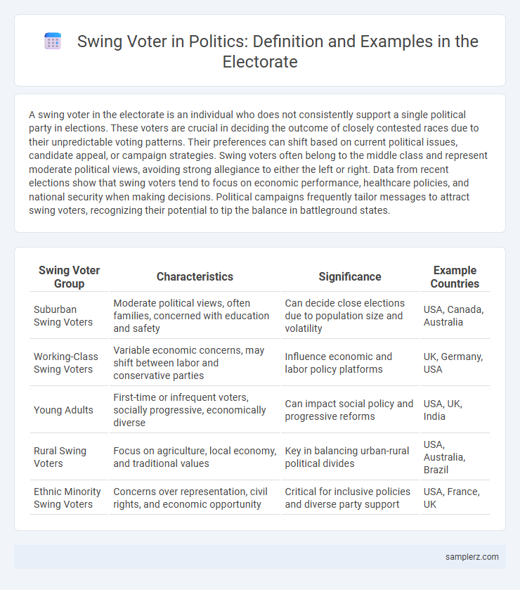 Swing Voter in Politics: Definition and Examples in the Electorate