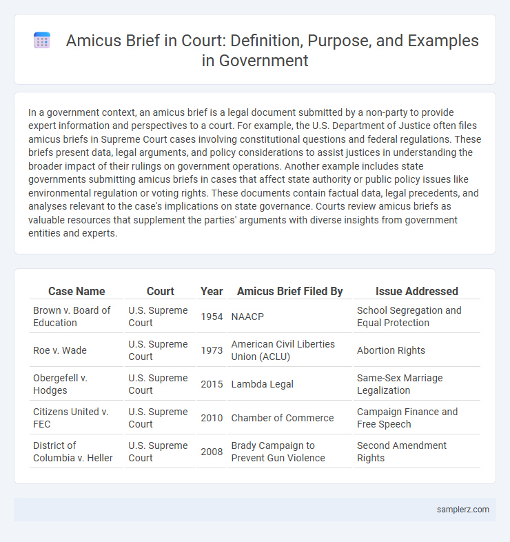 Amicus Brief in Court: Definition, Purpose, and Examples in Government