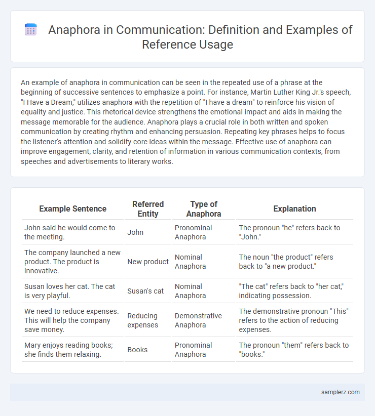 Anaphora in Communication: Definition and Examples of Reference Usage