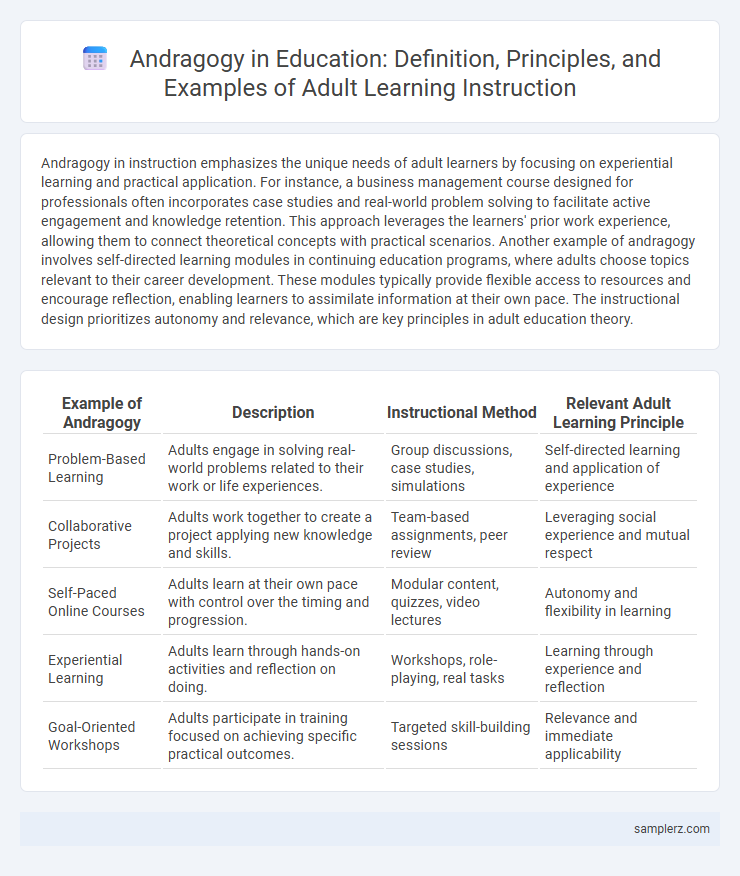 Andragogy in Education: Definition, Principles, and Examples of Adult Learning Instruction