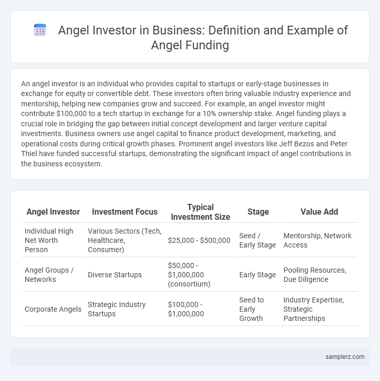 Angel Investor in Business: Definition and Example of Angel Funding