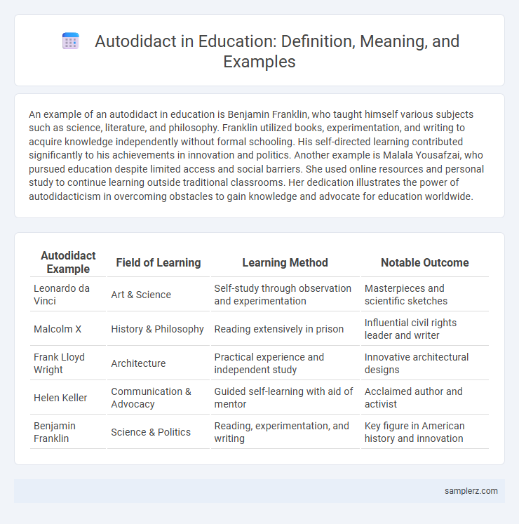 Autodidact in Education: Definition, Meaning, and Examples
