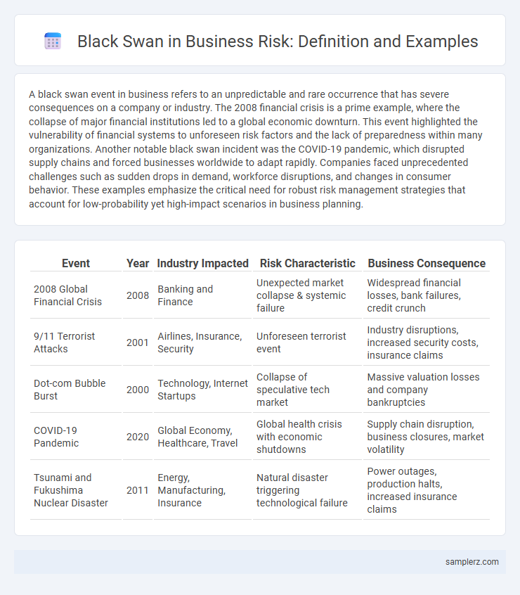 Black Swan in Business Risk: Definition and Examples