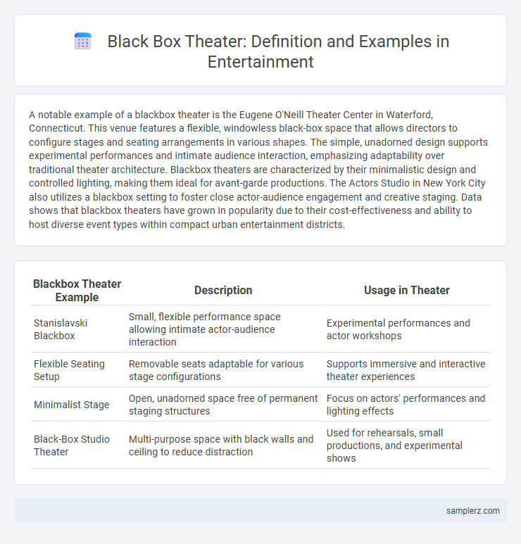 Black Box Theater: Definition and Examples in Entertainment