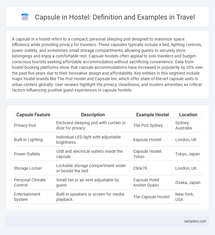 Capsule in Hostel: Definition and Examples in Travel