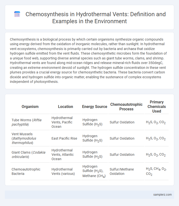 Chemosynthesis in Hydrothermal Vents: Definition and Examples in the Environment