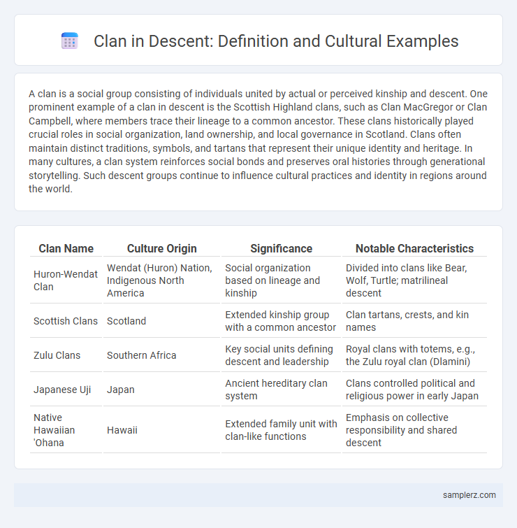 Clan in Descent: Definition and Cultural Examples