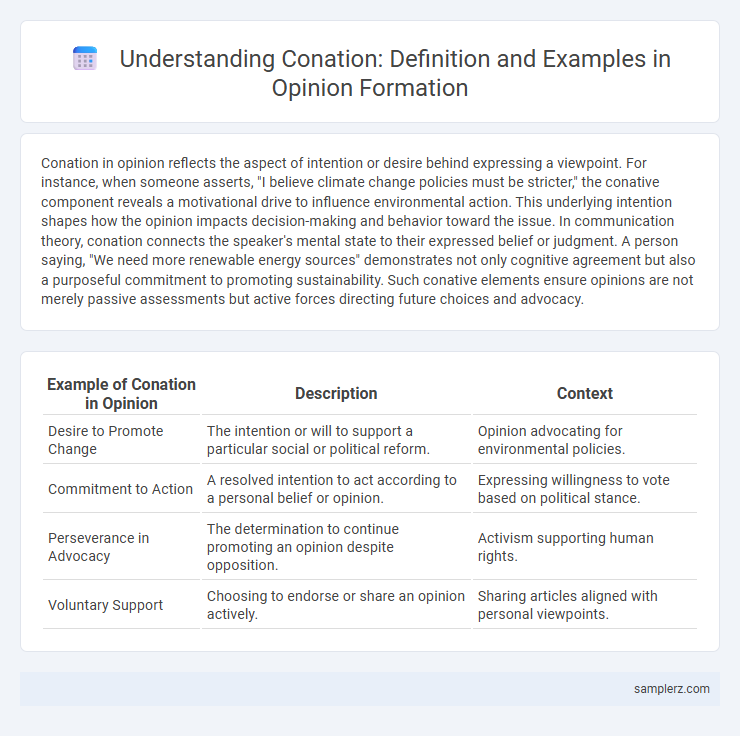 Understanding Conation: Definition and Examples in Opinion Formation