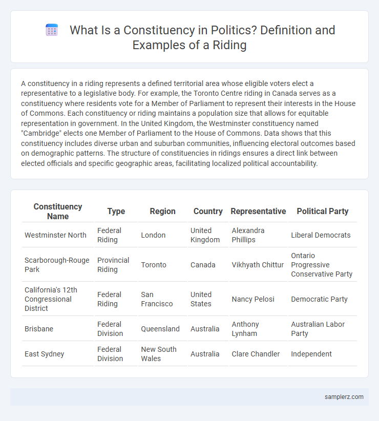 What Is a Constituency in Politics? Definition and Examples of a Riding