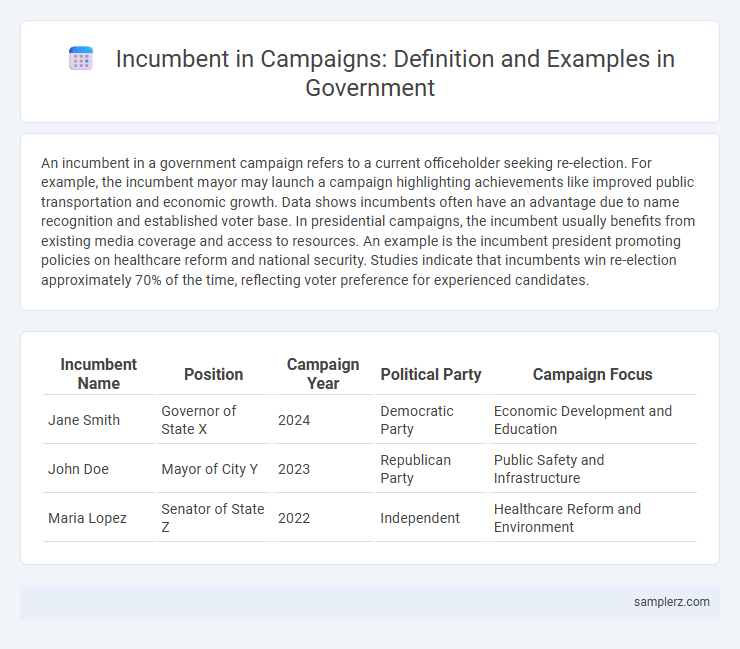 Incumbent in Campaigns: Definition and Examples in Government