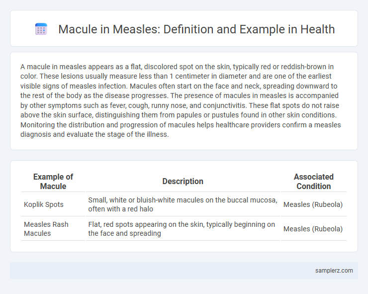Macule in Measles: Definition and Example in Health