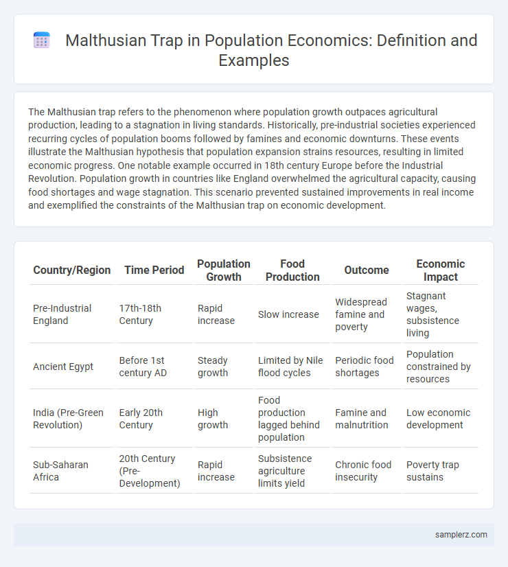Malthusian Trap in Population Economics: Definition and Examples