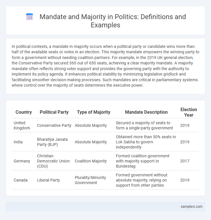 Mandate and Majority in Politics: Definitions and Examples