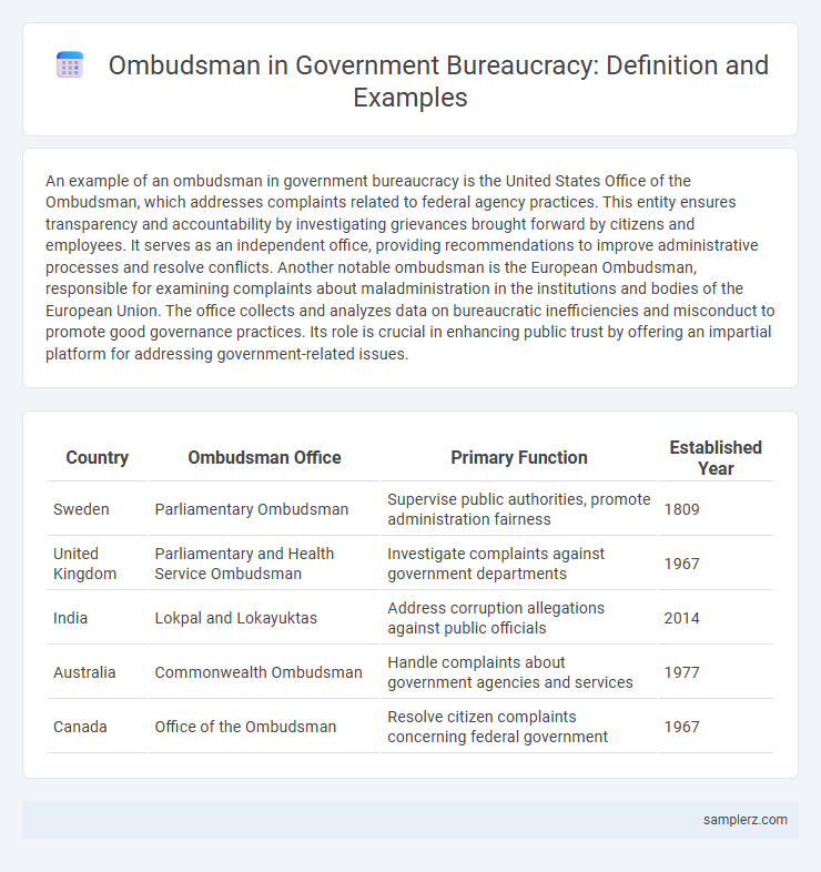 Ombudsman in Government Bureaucracy: Definition and Examples