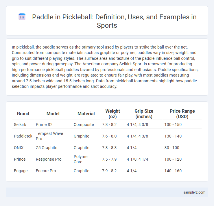 Paddle in Pickleball: Definition, Uses, and Examples in Sports