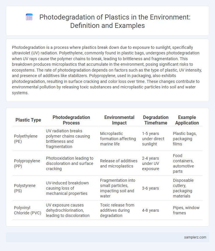 Photodegradation of Plastics in the Environment: Definition and Examples