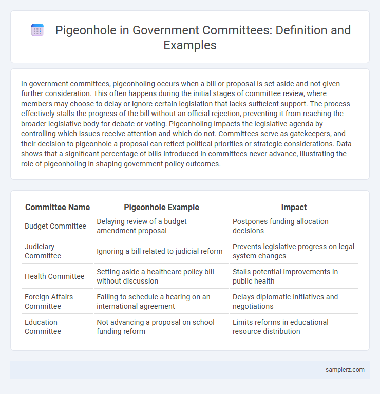 Pigeonhole in Government Committees: Definition and Examples