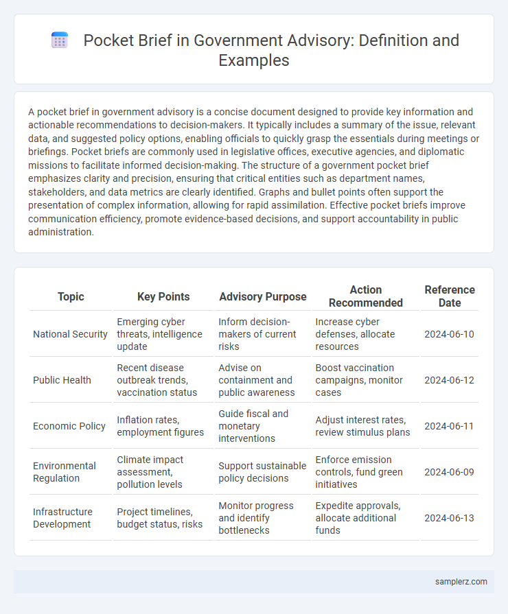 Pocket Brief in Government Advisory: Definition and Examples