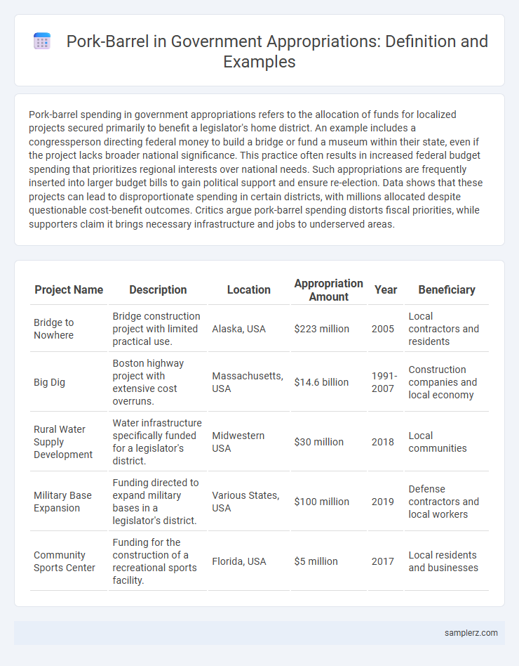 Pork-Barrel in Government Appropriations: Definition and Examples
