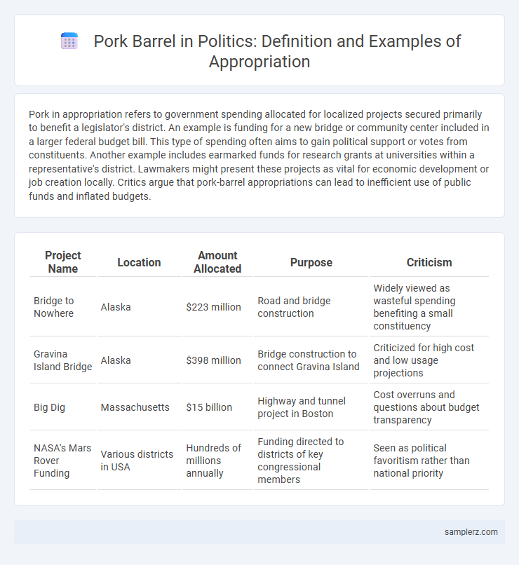 Pork Barrel in Politics: Definition and Examples of Appropriation