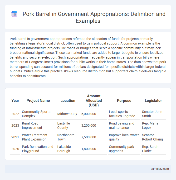 Pork Barrel in Government Appropriations: Definition and Examples