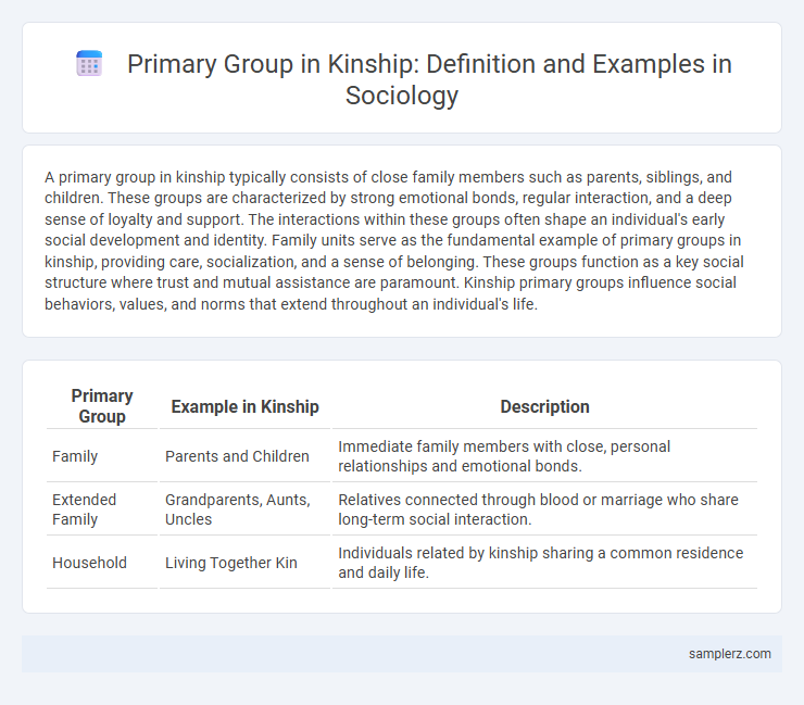 Primary Group in Kinship: Definition and Examples in Sociology