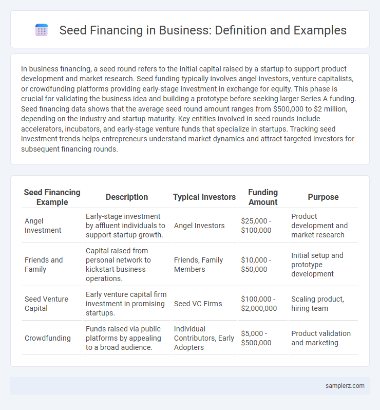 Seed Financing in Business: Definition and Examples