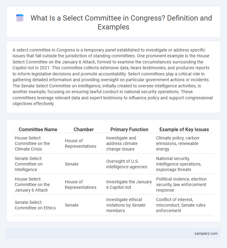 What Is a Select Committee in Congress? Definition and Examples