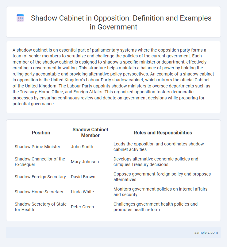 Shadow Cabinet in Opposition: Definition and Examples in Government