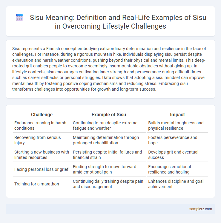 Sisu Meaning: Definition and Real-Life Examples of Sisu in Overcoming Lifestyle Challenges