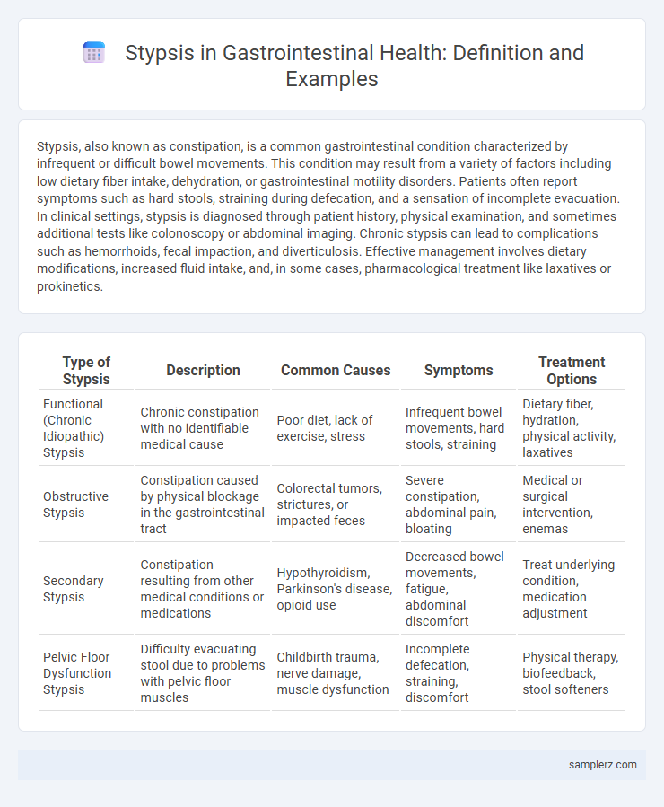 Stypsis in Gastrointestinal Health: Definition and Examples