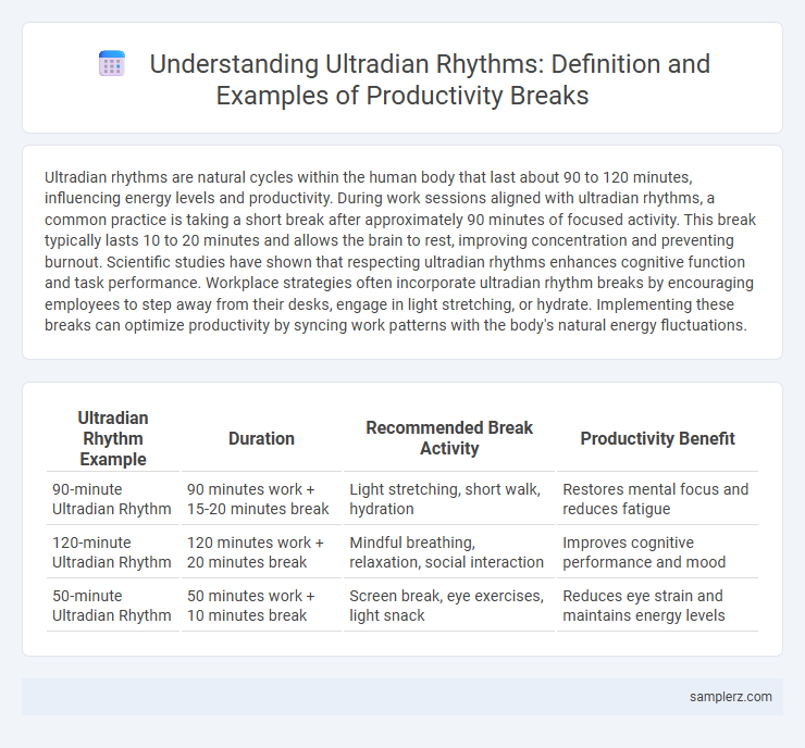 Understanding Ultradian Rhythms: Definition and Examples of Productivity Breaks