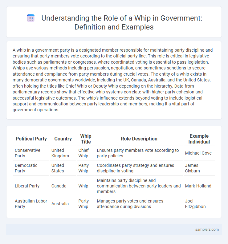 Understanding the Role of a Whip in Government: Definition and Examples
