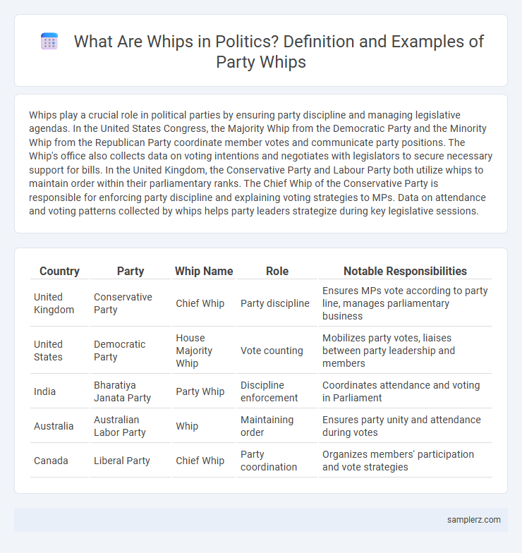What Are Whips in Politics? Definition and Examples of Party Whips