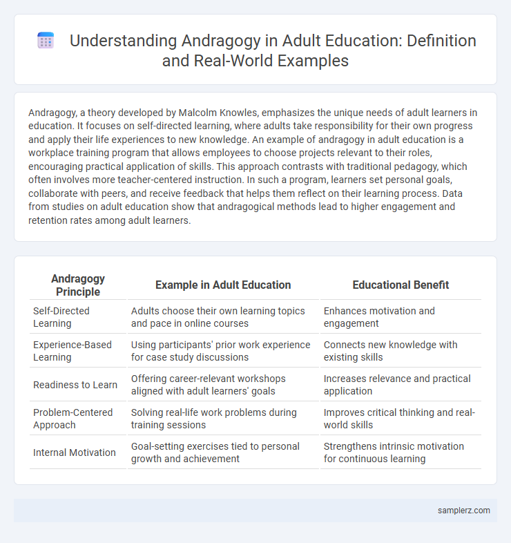 Understanding Andragogy in Adult Education: Definition and Real-World Examples