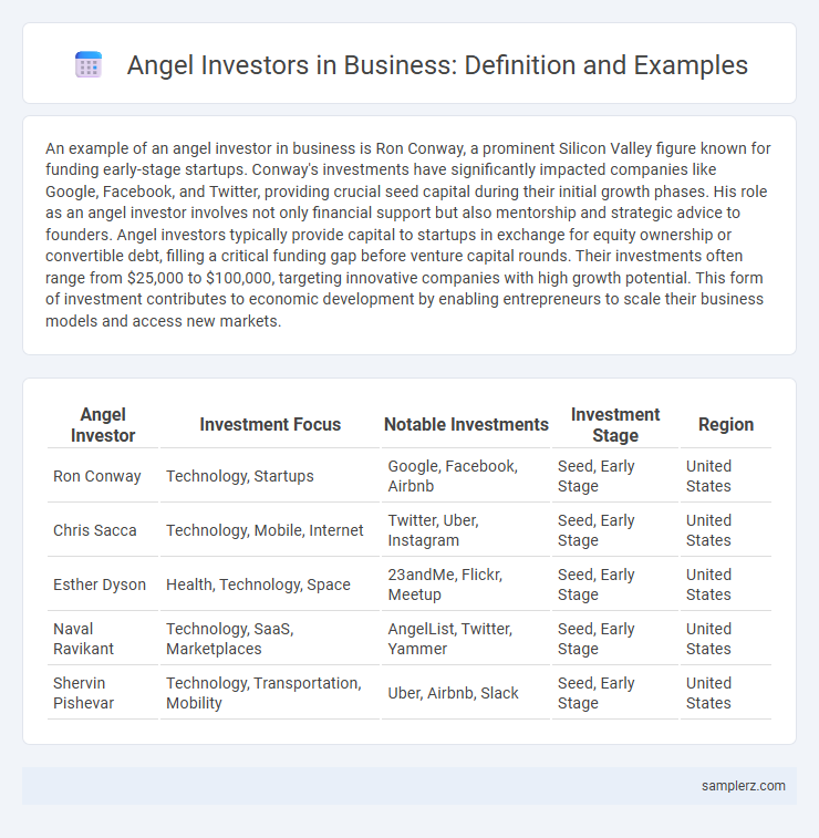 Angel Investors in Business: Definition and Examples