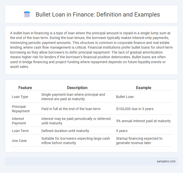 Bullet Loan in Finance: Definition and Examples