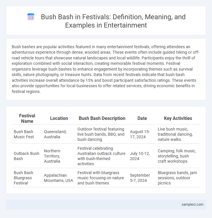 Bush Bash in Festivals: Definition, Meaning, and Examples in Entertainment