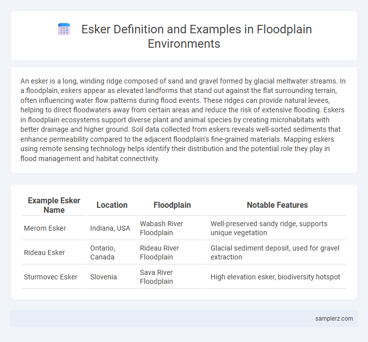 Esker Definition and Examples in Floodplain Environments
