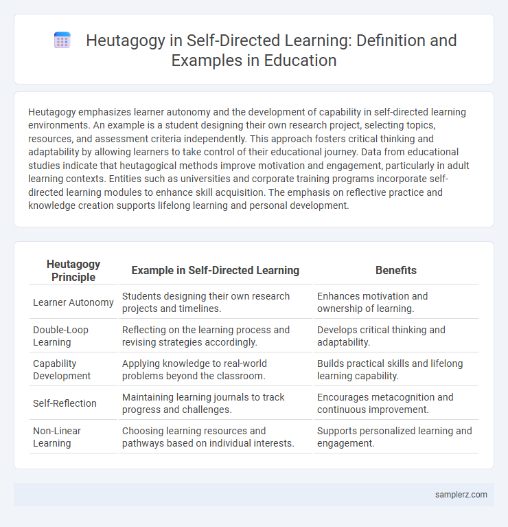 Heutagogy in Self-Directed Learning: Definition and Examples in Education