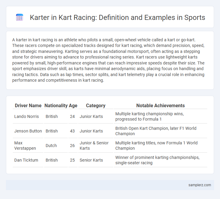 Karter in Kart Racing: Definition and Examples in Sports