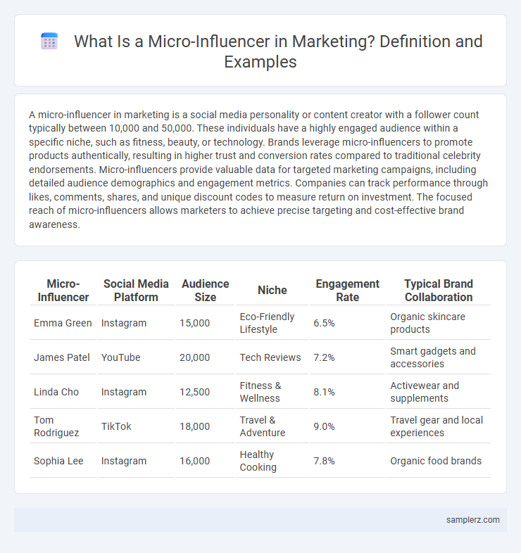 What Is a Micro-Influencer in Marketing? Definition and Examples