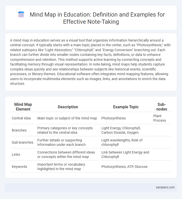 Mind Map in Education: Definition and Examples for Effective Note-Taking