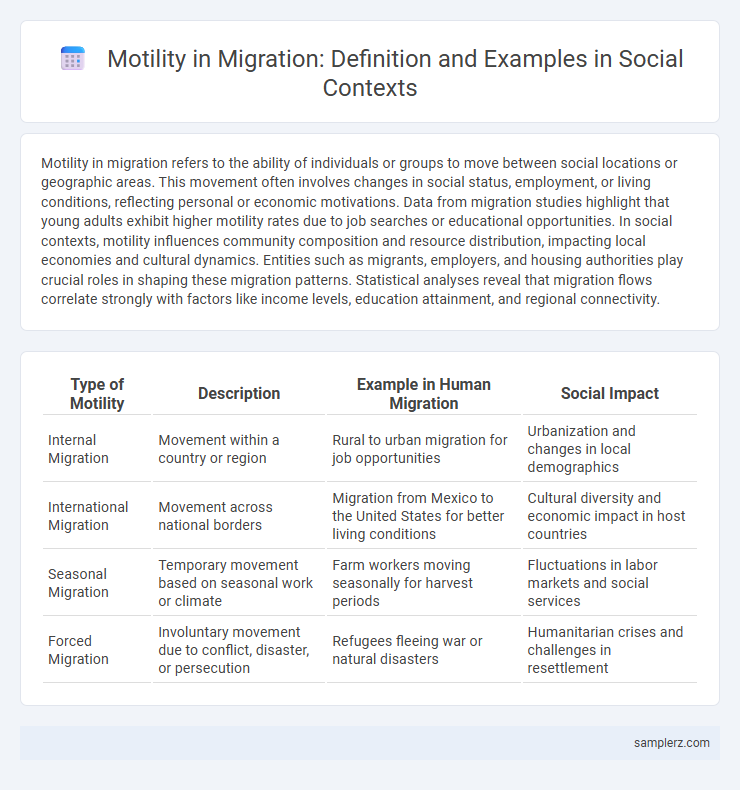 Motility in Migration: Definition and Examples in Social Contexts